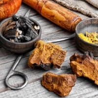 V akých formách môžete užívať extrakt z čagy sibírskej? Vyberte si